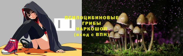 apvp Верхний Тагил