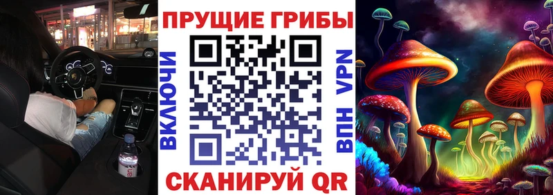 сайты даркнета наркотические препараты  Нижний Тагил  Галлюциногенные грибы мицелий 